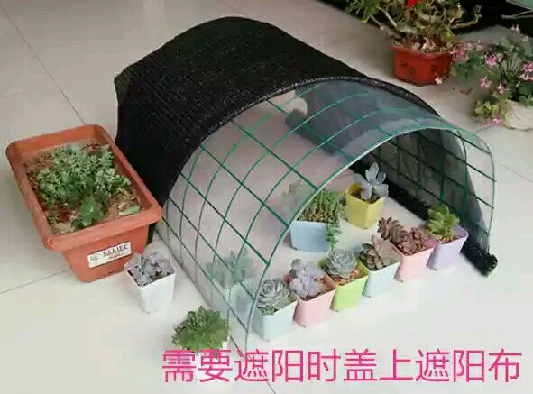 花醉怜心