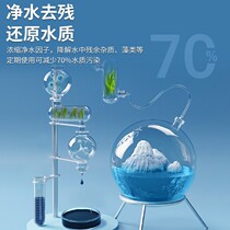 Methylene blue fish tank disinfection and sterilization for ornamental fish koi white spots water mold rotten body and tail special purpose