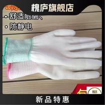 Female Dip Rubber Gloves LABOR-WEAR-WEAR LADY SMALL NUMBER FEMALE SECTION ANTI-SLIP SOFT 36 DOUBLE BREATHABLE