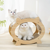 Cat cat cat without deduplication hilariously unfused TV cats nest cats nest to replace pet supplies
