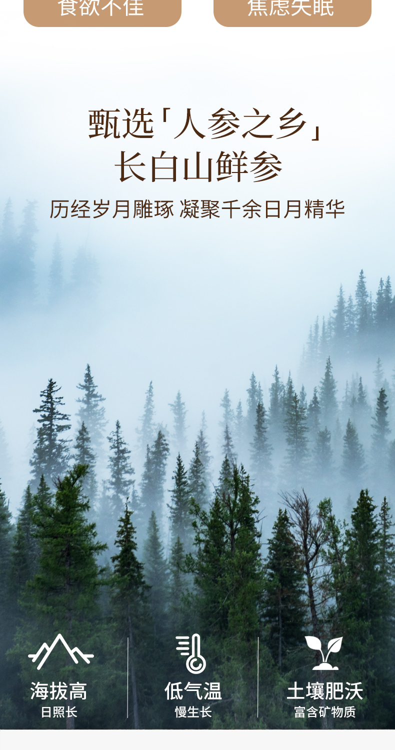 【中国直邮】北京同仁堂 人参蜜片 即食鲜参切片蜂蜜泡水长白山人参45g