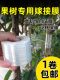 Peach Tree Grafting Film, Glutinous Rice No-Disassembly Grafting Film, Fruit Tree Grafting Film, Special Film, Wrapping Film, Grafting Frame Film, Grafting Film