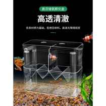Fish tank isolation box hatching box guppy and anchovy breeding box small fish and fry non-acrylic delivery room outside the tank