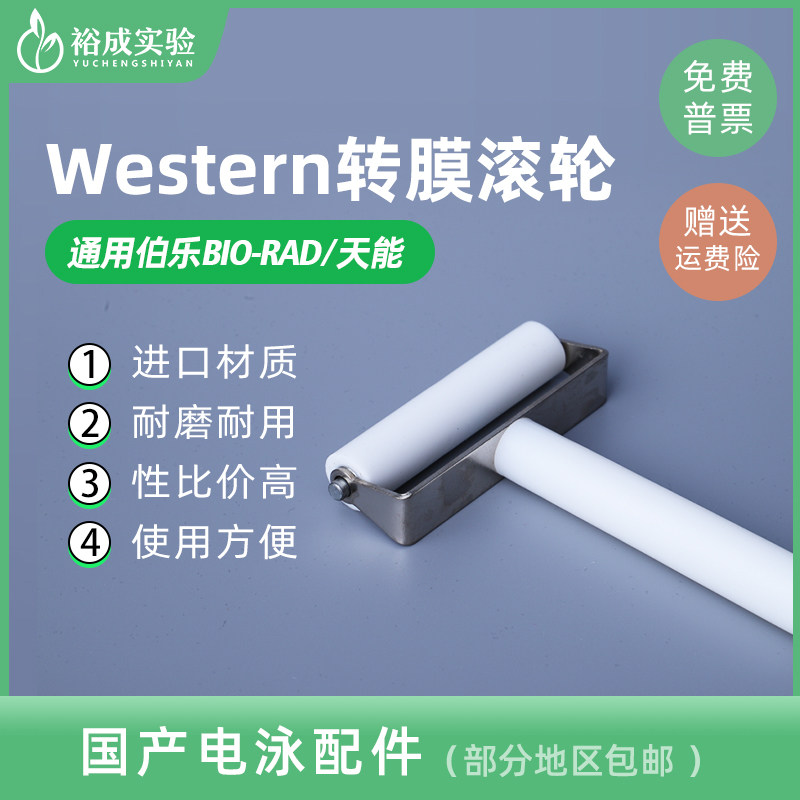 裕成实验Western Blot 转膜滚筒 转膜气泡滚 滚轮转膜赶气泡工具