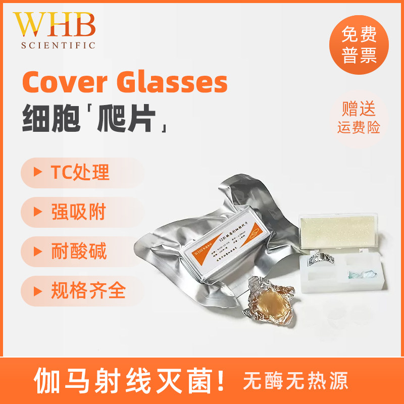 WHB TC处理6孔12孔24孔48孔96孔圆形方形细胞爬片贴壁细胞爬片