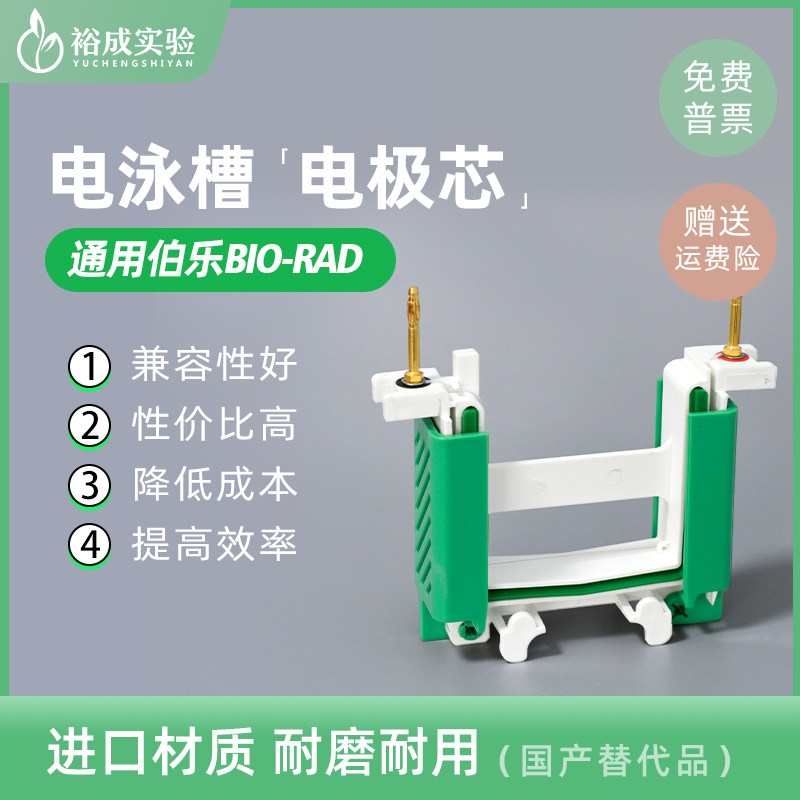 适配伯乐bio-rad小型垂直电泳槽电极芯  电泳槽内芯电极芯主副芯