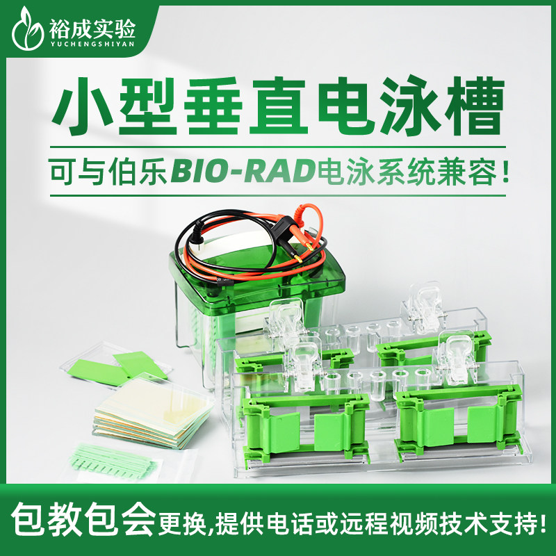 裕成实验小型垂直电泳槽SDS-PAGE凝胶蛋白电泳转印槽适配伯乐款