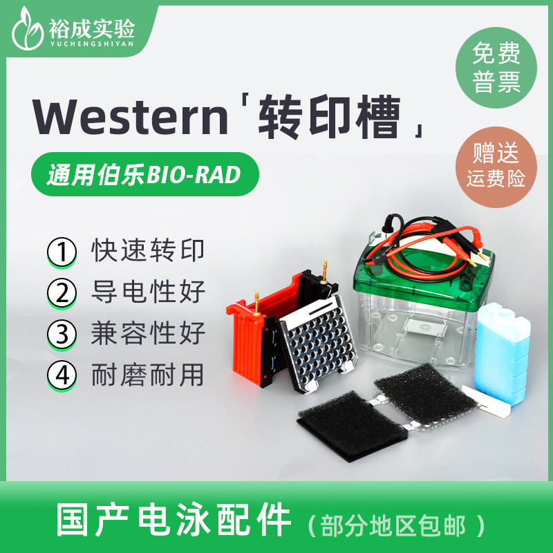 通用bio-rad伯乐小型垂直转印电泳仪转印槽Westernblot转膜电泳槽