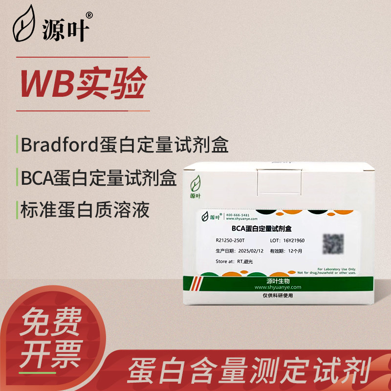 源叶蛋白浓度测定试剂盒标准蛋白质溶液BSA BCA Bradford蛋白定量
