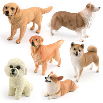 Новые дети Раннее преподавание когнитивных животных Swing Piecs Teddy Chi Dog Golden Sog Dog Static Name Dog Mot