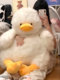 Dundun Duck Plush Toy Doll Duck Stuffed Animal Pillow Sleeping Pillow for Children Girls Christmas New Year Gift