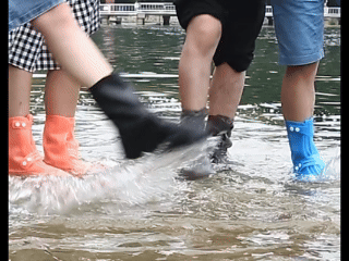 P_005.gif