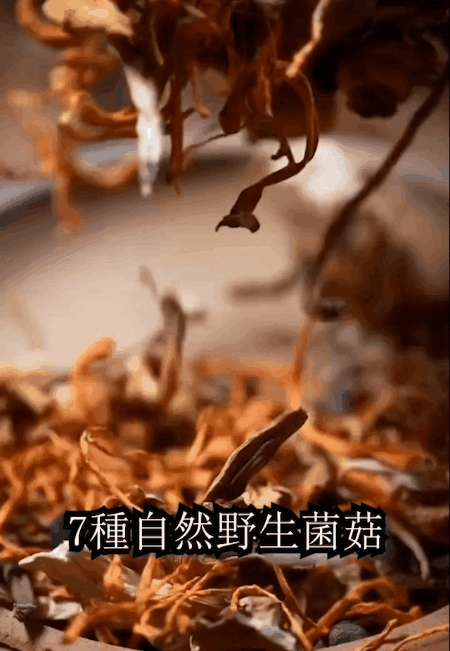20260422_164240_011.gif