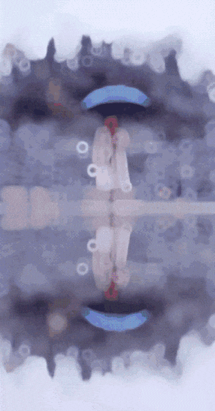 P_005.gif
