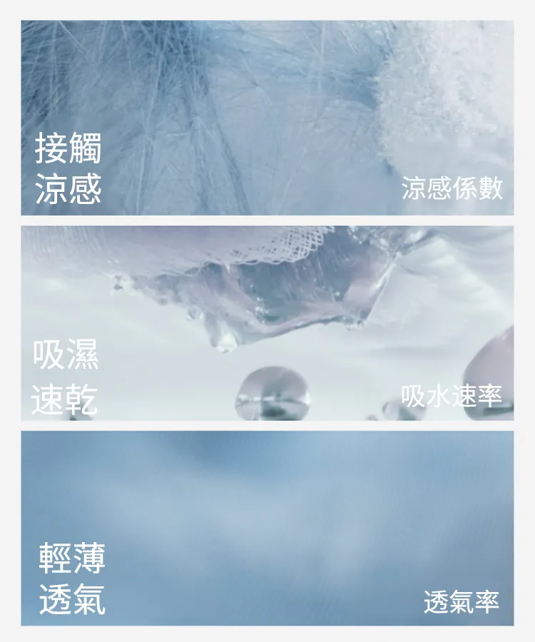P_006.webp