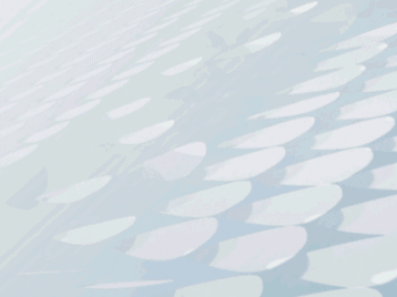 20260521_172043_098.gif