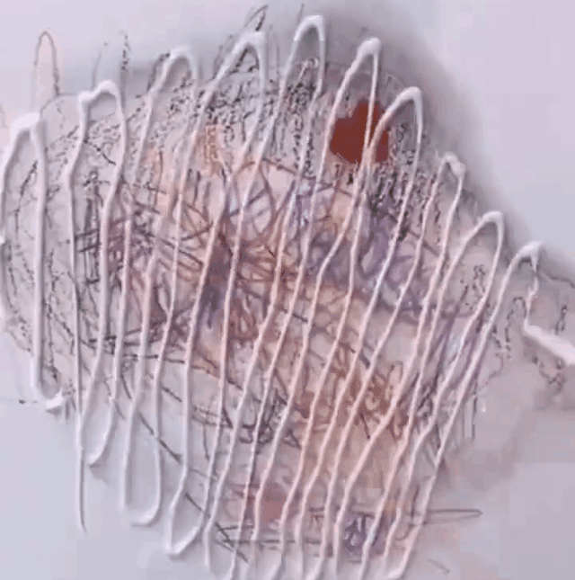 20260713_143120_039.gif
