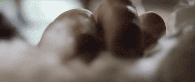 P_013.gif