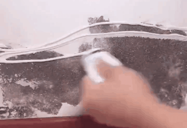 20260713_143120_037.gif