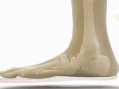 20260817_101555_010.gif