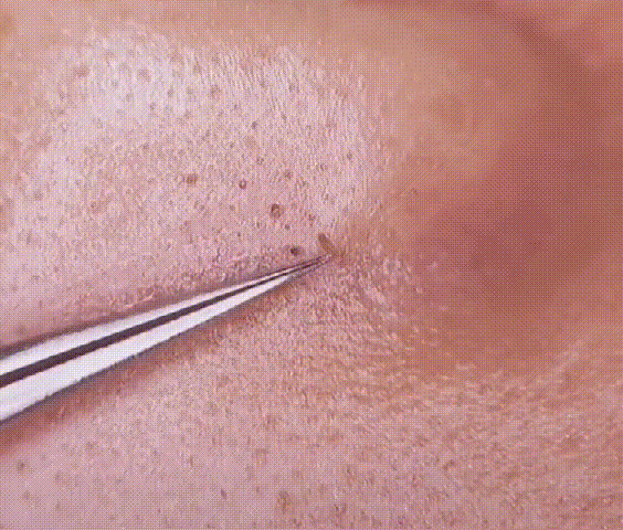 20260812_161240_013.gif