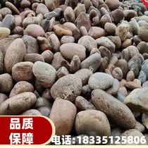 Jiangxi Spot Supply Transformer Substation Pebble Park Landscape Paved for Round River Beach