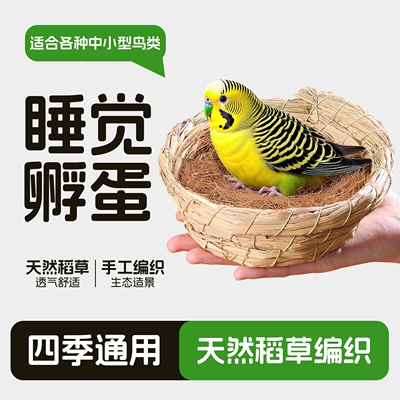 [鹦鹉鸟窝草编四季通用虎皮牡丹玄风小太阳文鸟专用睡觉窝繁殖箱]