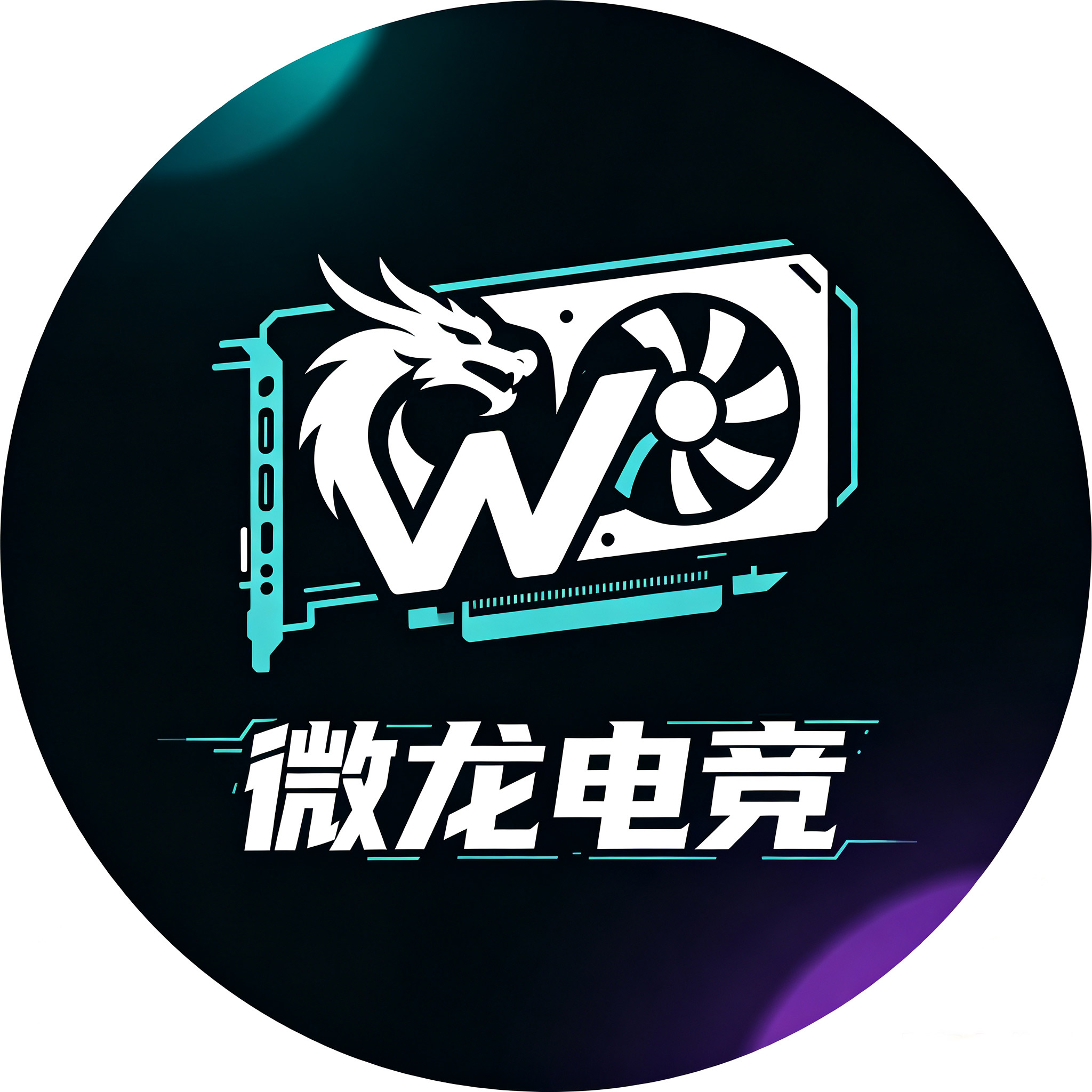 微龙电竞