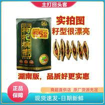 Xiangtanpuzi wolfberry betel nut 50 yuan Hunan version original Wuzi drunk green fruit betel nut specialty ice nut