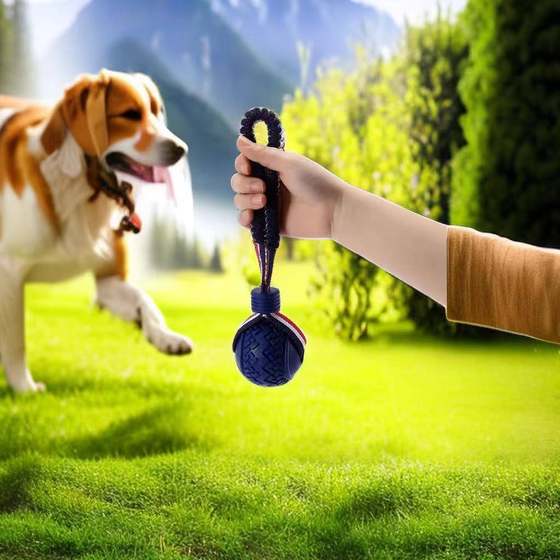 狗狗玩具训狗球耐咬球磨牙解闷神器大型犬马犬训练带绳球宠物用品