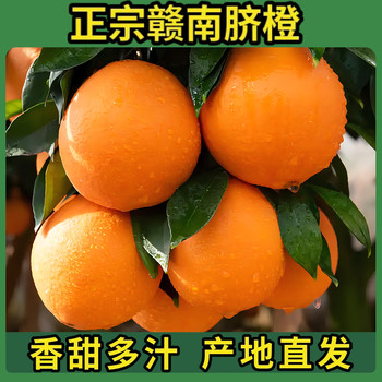 Authentic gannan navel oranges in season, hand peeled and sweetened with rock sugar