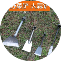 家用小铲子挖草药种菜除草挖土菜园花园艺园林用具农用工