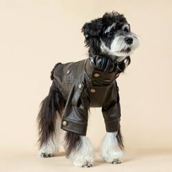 Pet Cat and Dog Leather Jacket, New Autumn and Winter Style, Retro and Stylish, Suitable for Small to Medium-Sized Cats and Dogs