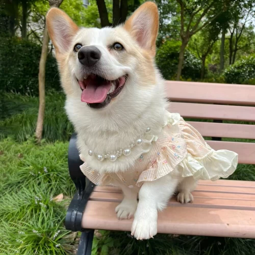 Летняя легкая и тонкая милая юбка с бантиком для принцессы