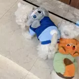 Демисезонный пуховик, милая шапка с капюшоном, увеличенная толщина