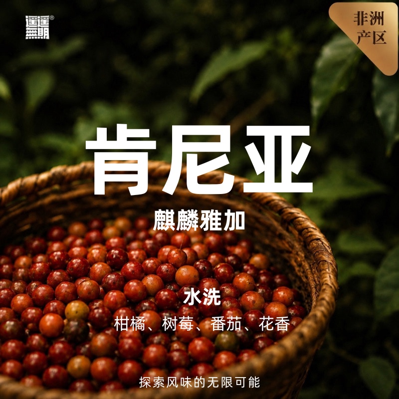 Single Product Series—Kenya Kirinyaga Single Product Series—Kenya Kirinyaga