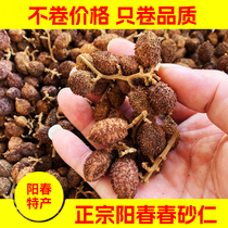 Zhenzzongyang Chunchun Sand Benevolent local beauty (что дорого для того чтобы иметь смысл) 500g catty of Yangjiang River производство весеннего зарина