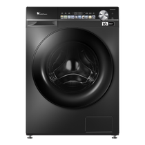 Littleswan TD100SC81