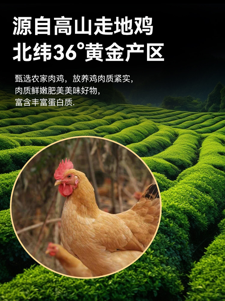 O1CN01ClUecg1hfk7mSpC4C_!!2216409914305.jpg