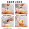 Stainless Steel Pear Corer Tool for Removing Pear Cores, Apple Corer, Fruit Core Remover, Pear Hole Digger, Core Remover