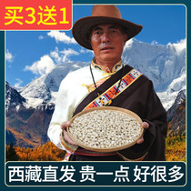 Authentic Tibetan Nagqu Tibetan Fritillary non-wild Sichuan Fritillary Pine Fritillary Flat Fritillary Loquat Paste 100g grindable powder