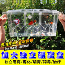 Out-of-tank breeding box fish tank isolation box betta box guppy delivery room tropical fish fry independent water hatching box