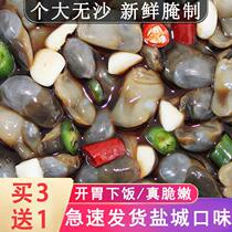 Large sand-free mud snail drunken mud snail ready-to-eat canned spicy fresh Yancheng specialty cold dish pickled drunken snail yellow mud snail