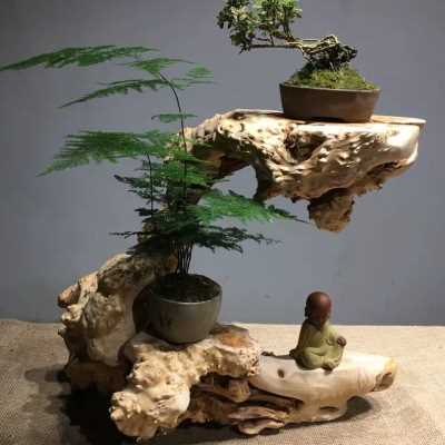 Weathered Dead Log Tree Root Carving Calamus Bonsai Base Dry Bubble Table Tea Desktop Home Soft Adornment Zen-Taobao