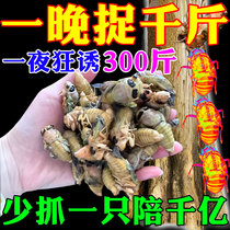 Cicada trap cicada luring artifact cicada climbing fork monkey golden cicada fresh special cicada luring powder (cicada trapping artifact)