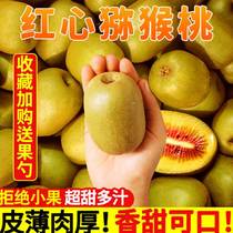 Authentic Sichuan Pujiang red heart kiwi fruit 30 pieces large fruit kiwi fruit fresh seasonal fruit for pregnant women whole box 10