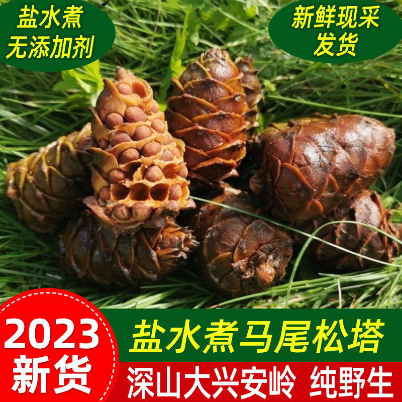 Matsuta water cooking with pine nuts 2023 New goods Tohoku Special production Daxing Anling Mawei Matsuzata Shuta Matsuzata Shuta-Taobao