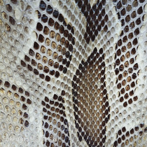 Changhan Erhu Accessories Python Skin Head Skin Erhu Skin High Hu Zhonghu Erhu Python Skin Three Strings Skin Thick Python