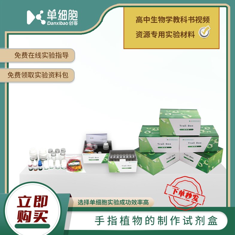 手指植物的制作试剂盒 适用于生物拓展课程