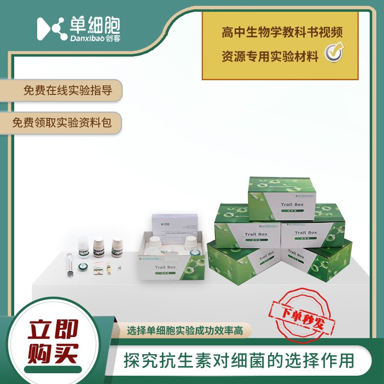 高中生物实验专用 探究抗生素对细菌的选择作用